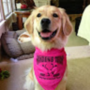 Meet your Posher, Elizabeth